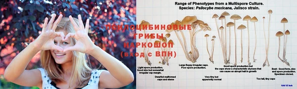 кокаин премиум Богородицк