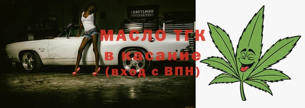 ECSTASY Бородино