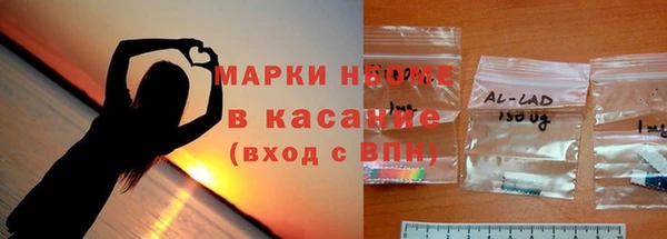 ECSTASY Бородино