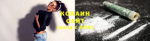 ECSTASY Бородино