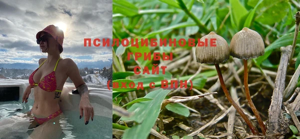 прущая мука Бронницы