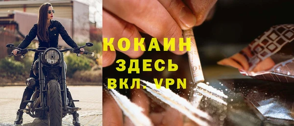 гашик Богданович
